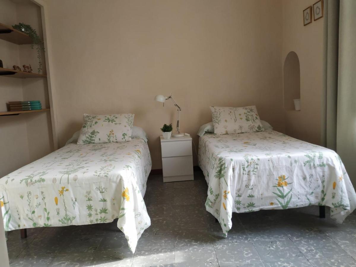 Alfacs Apartment Sant Carles De La Rapita Exterior photo